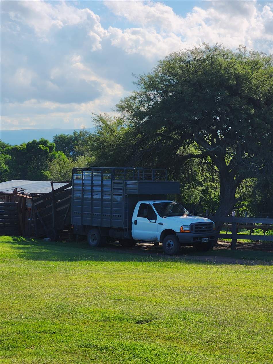 Camión Ford de Marventto en un campo al atardecer